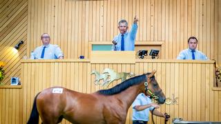 Karaka 2021 will kick off on Sunday 24 January.